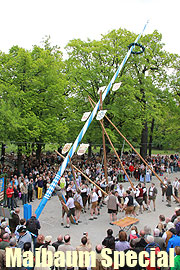 Maibaum Special“ - schon über 40 Maibaum Termine für 2010 (Foto: Martin Schmitz)